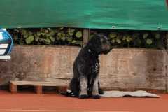 2023-Doeschen-Cup-16