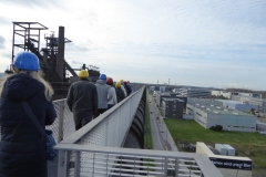 SkyWalkTSG_2022_11-29