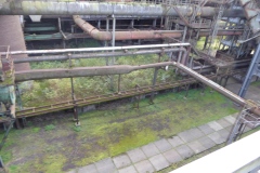 SkyWalkTSG_2022_11-43